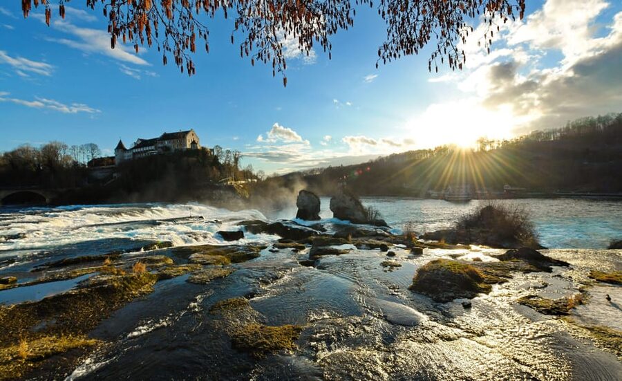 Zurich: Rhine Falls, Chocolate & Cheese Factory Day Trip - How to time your day inside the stops (quick strategy that pays off)