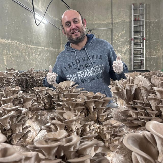 Zurich's best-kept secret: the hidden world of mushrooms! - The Sensory Part: Touch, Smell, Taste Without the Guesswork