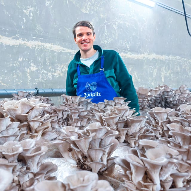 Zurich's best-kept secret: the hidden world of mushrooms! - Quick Practical Checklist (So You Enjoy It More)