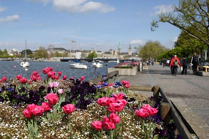 Zurich Sightseeing Private Walking Tour - Old Town and Niederdorf: narrow streets, books, and evening mood