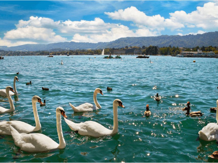 Zürich with Cruise and Lindt Home of chocolate (private) - Price and value: is $469 worth it?